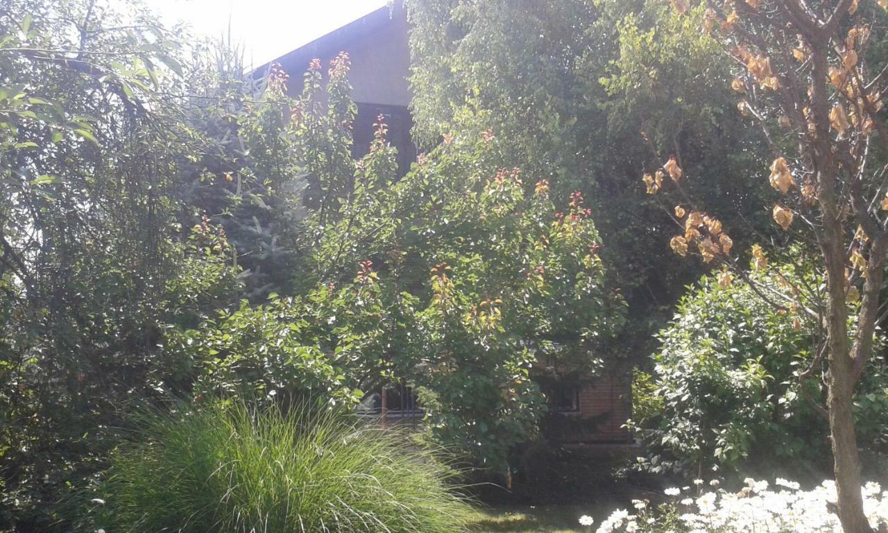 Ferienwohnung Sobe Dijana Subotica Exterior foto